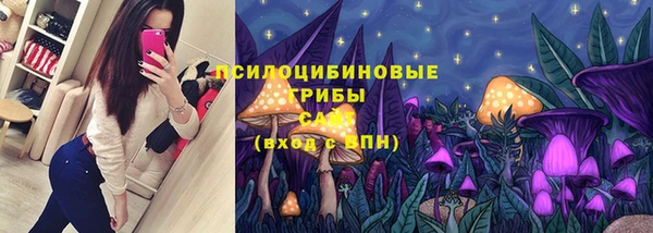 бутик Снежногорск