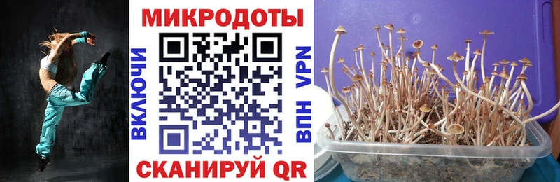 Галлюциногенные грибы мицелий  Далматово 